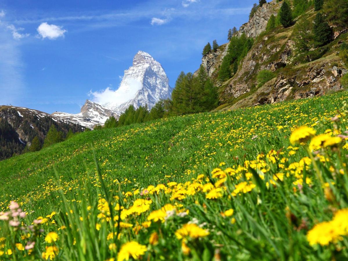 Apartment Aquila By Interhome Zermatt Exterior foto