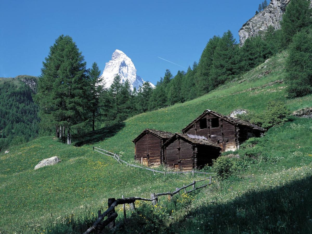 Apartment Aquila By Interhome Zermatt Exterior foto